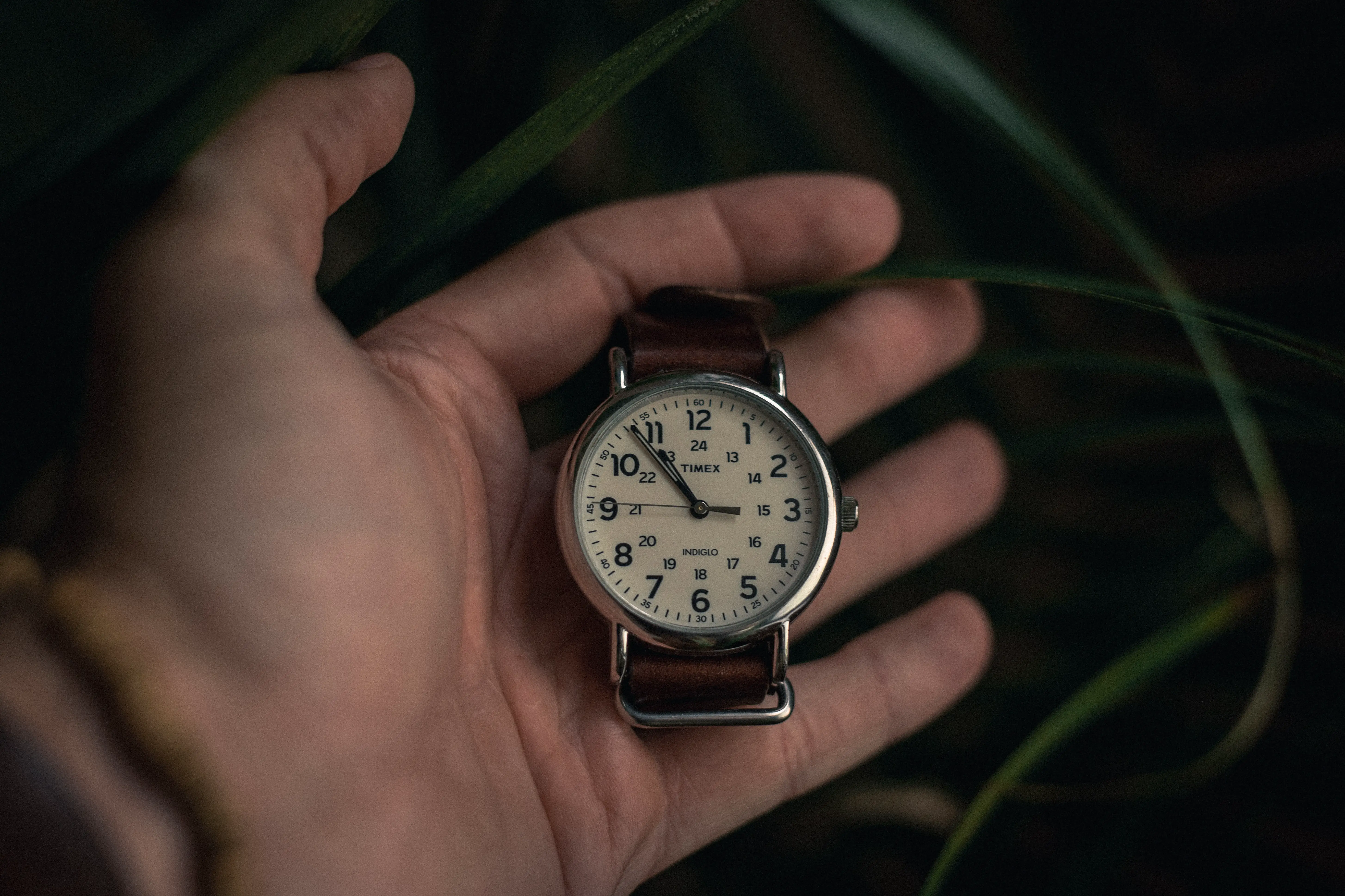 Timex weekender quick review