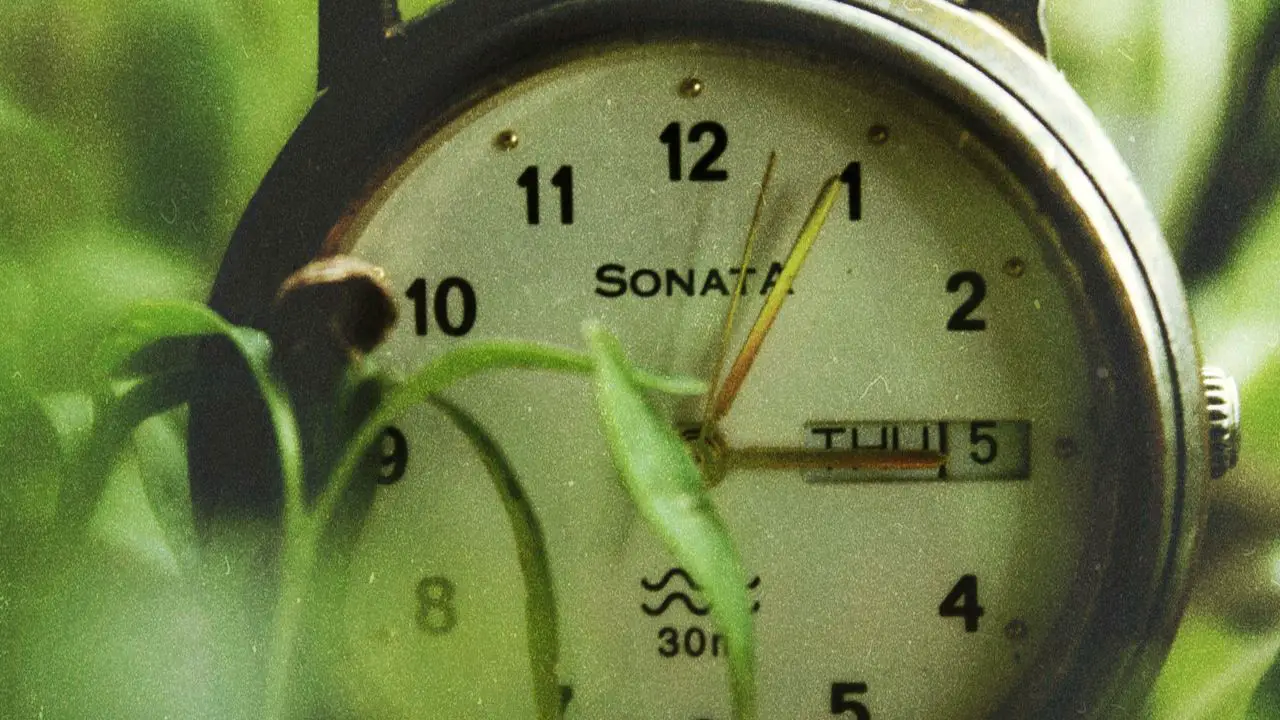 sonata watches